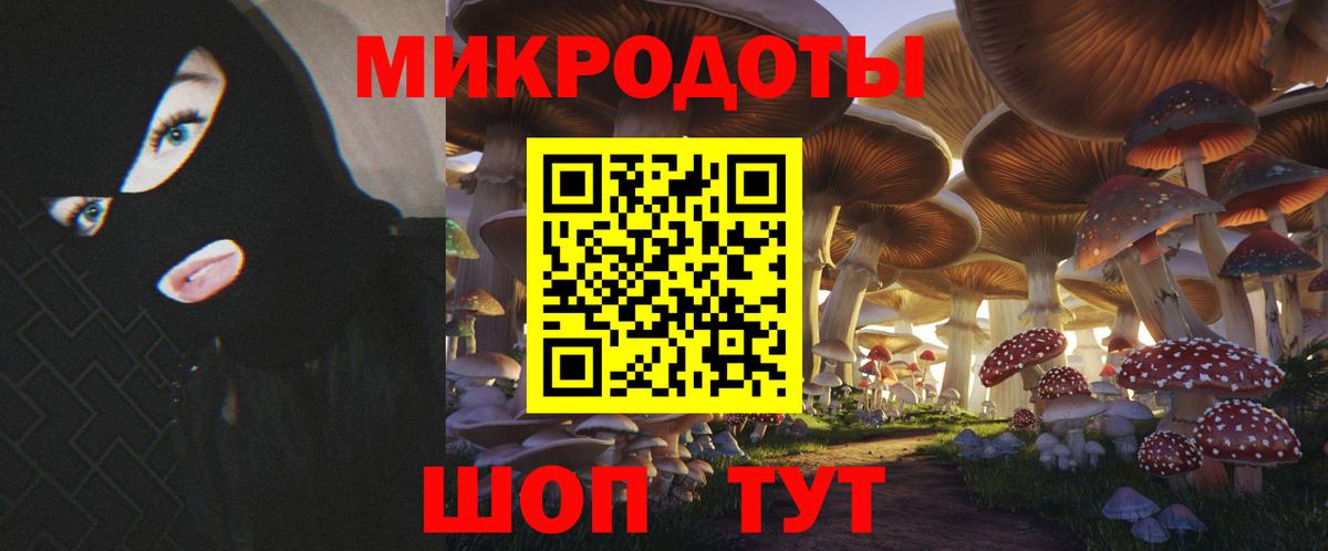 Псилоцибиновые грибы Psilocybine cubensis Сегежа